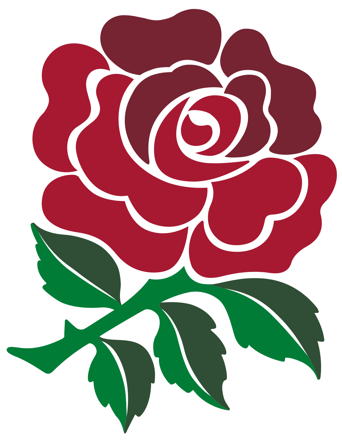 Red Roses International Friendly
